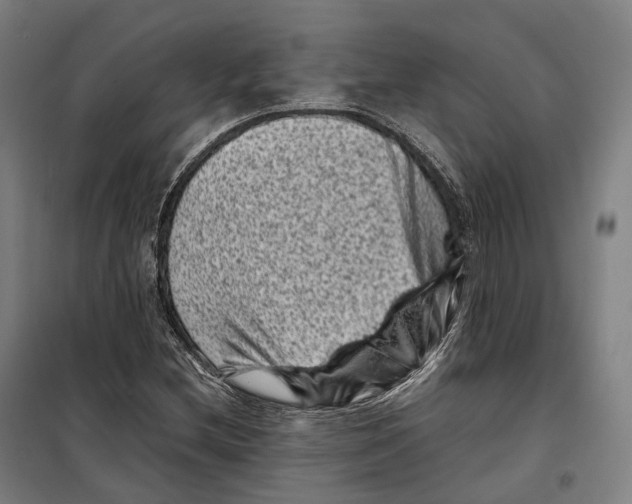 X0000099471212200805301549