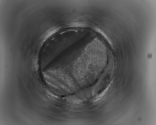 X0000099471213200805301549