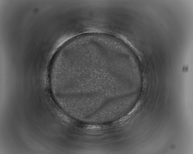 X0000099471215200805301549