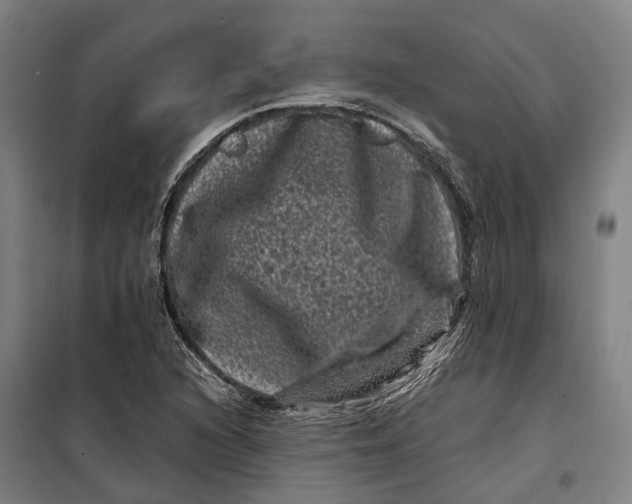 X0000099471216200805301549