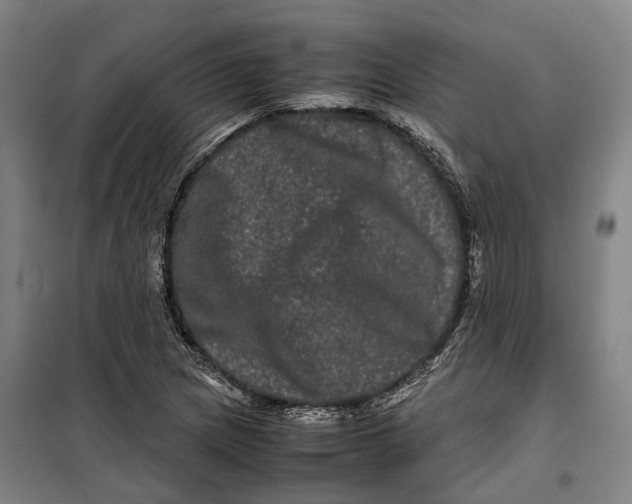 X0000099471217200805301549