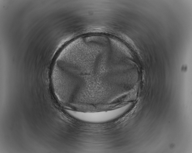 X0000099471218200805301549