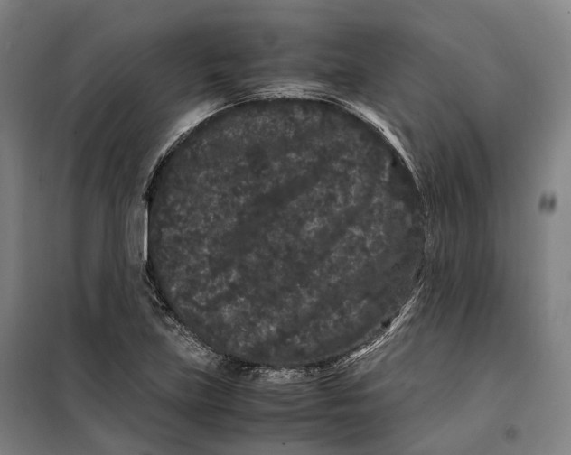 X0000099471219200805301549