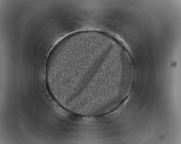 X0000099471220200805301549