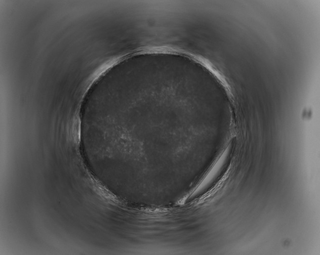 X0000099471221200805301549