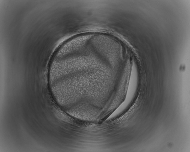 X0000099471222200805301549