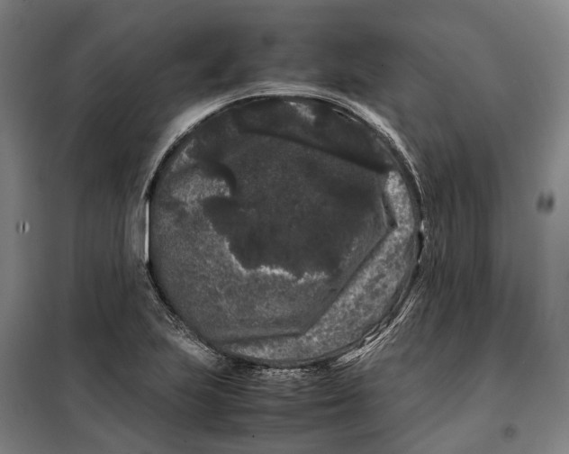 X0000099471223200805301549