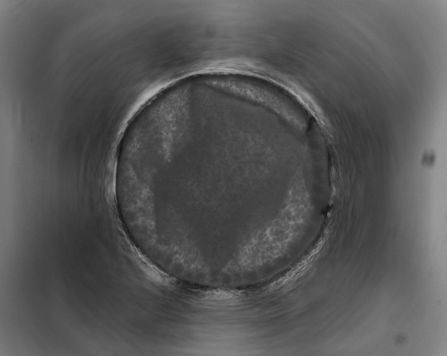 X0000099471224200805301549