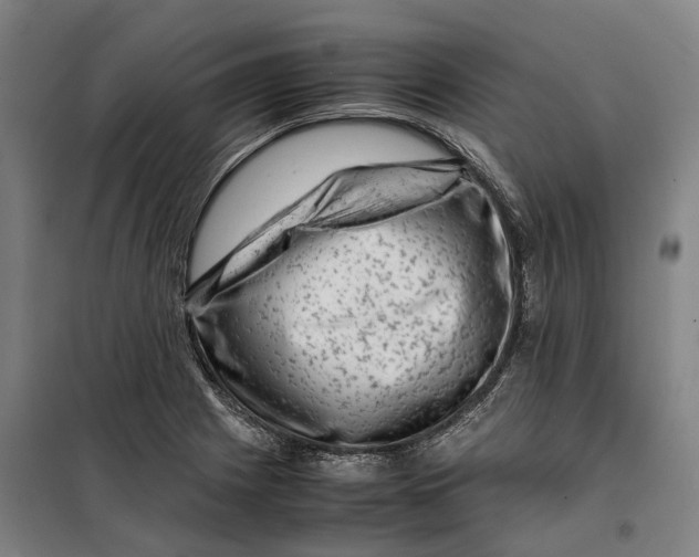 X0000099471225200805301549