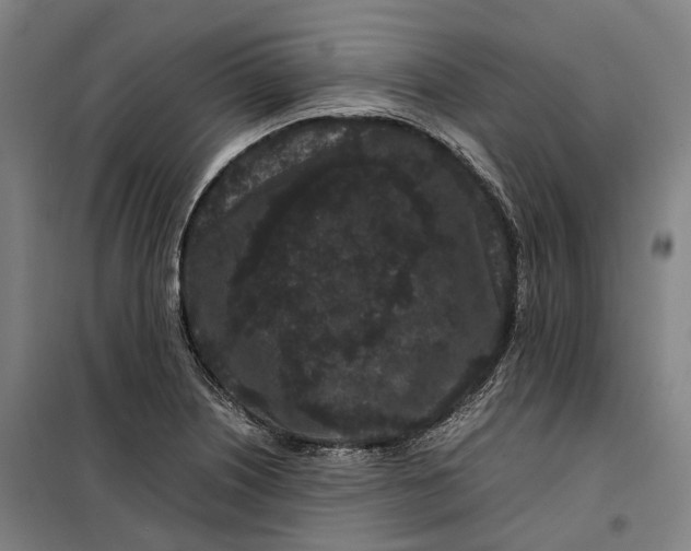 X0000099471226200805301549