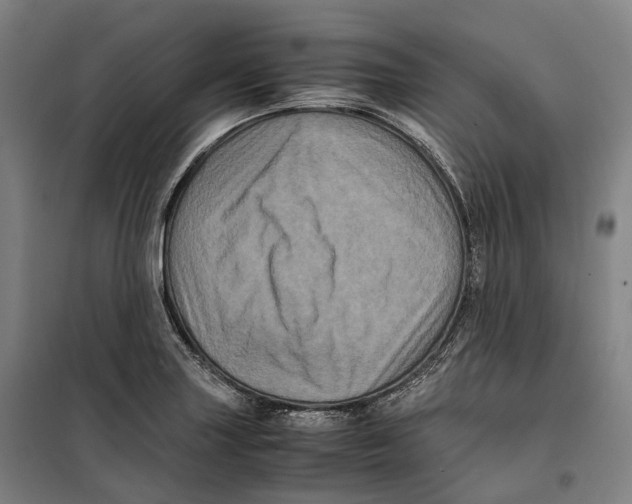 X0000099471227200805301549