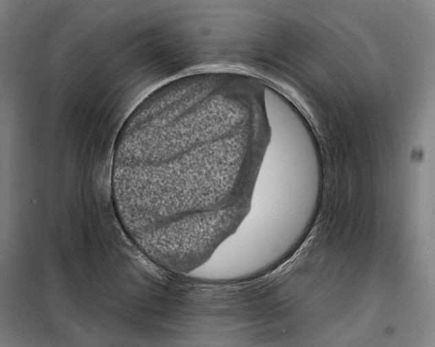 X0000099471228200805301549