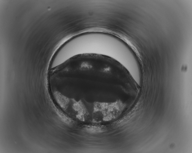 X0000099471229200805301549