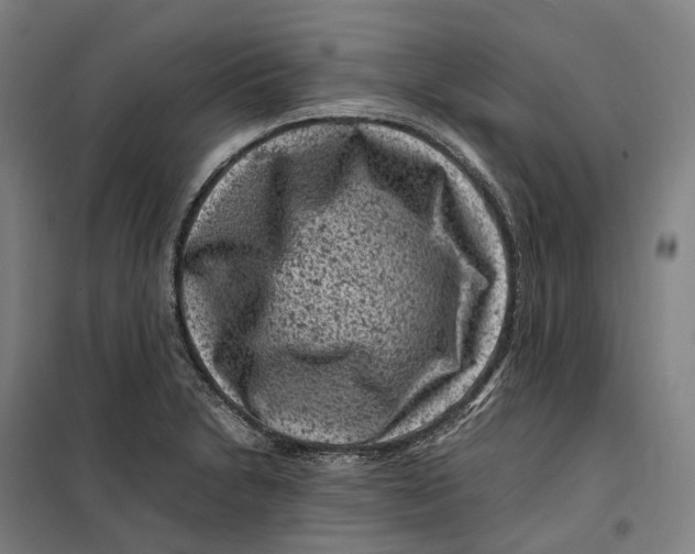 X0000099471230200805301549