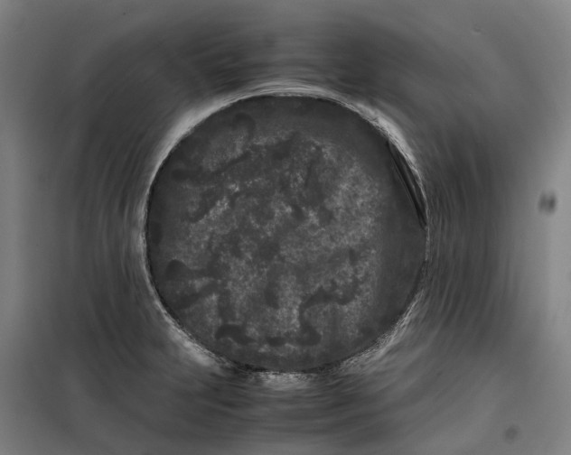 X0000099471231200805301549