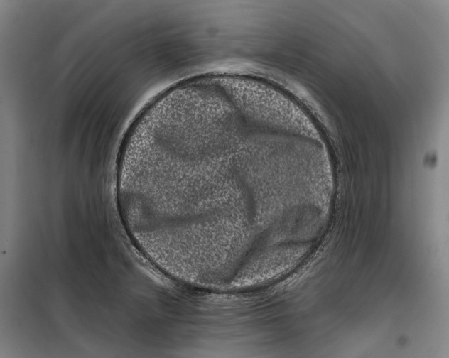 X0000099471232200805301549