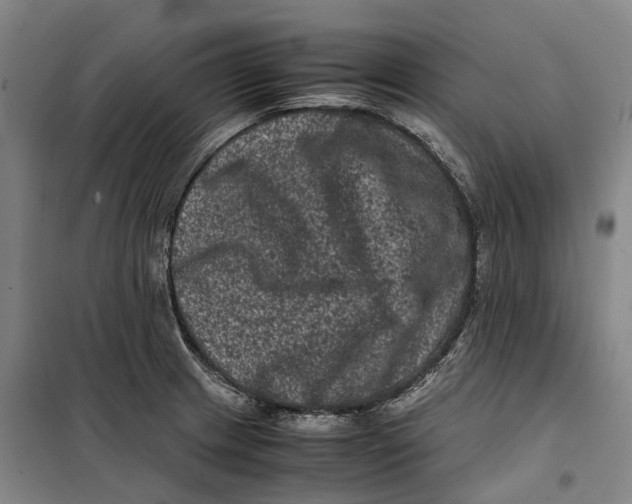 X0000099471233200805301549