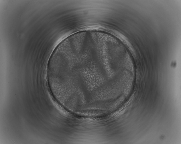 X0000099471234200805301549