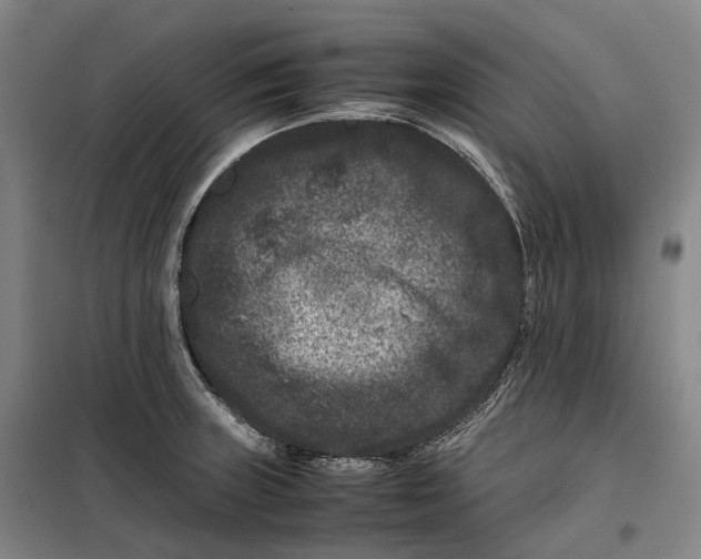 X0000099471235200805301549