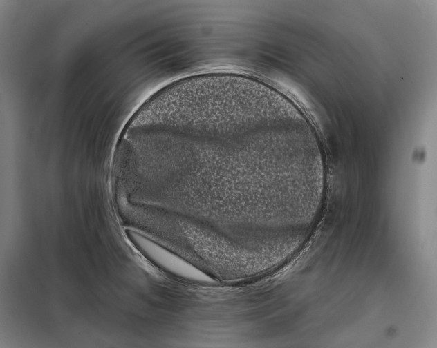 X0000099471236200805301549