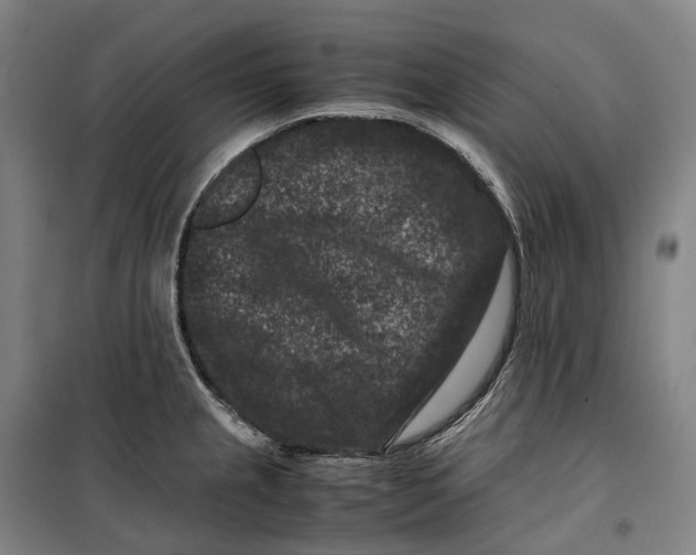 X0000099471237200805301549