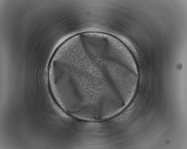 X0000099471238200805301549