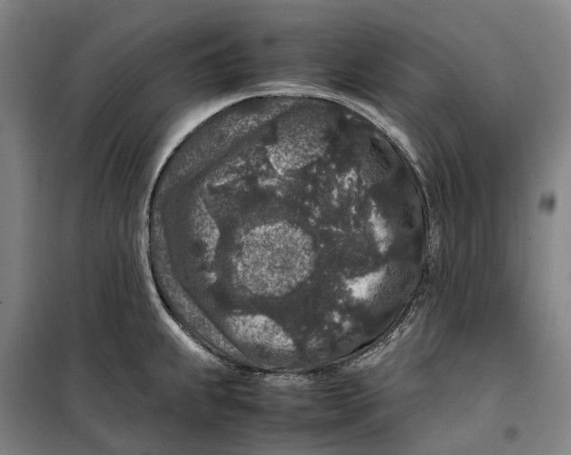 X0000099471239200805301549