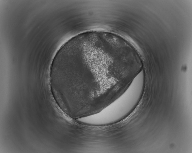 X0000099471240200805301549