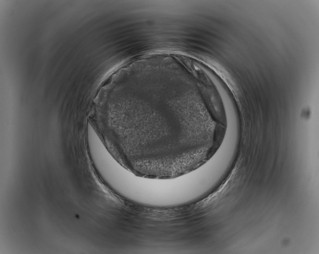 X0000099471241200805301549