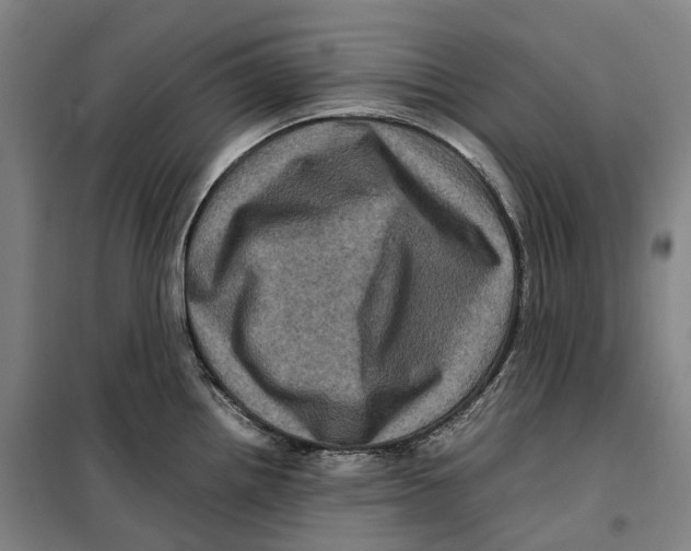 X0000099471242200805301549