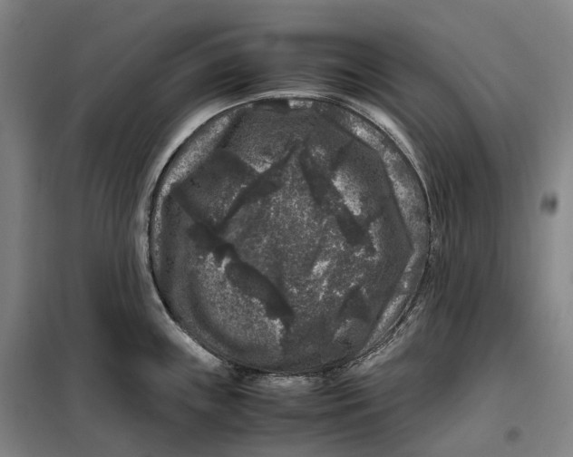 X0000099471243200805301549