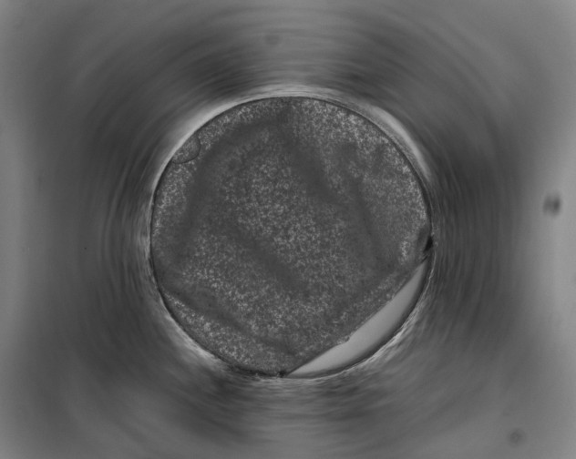 X0000099471244200805301549