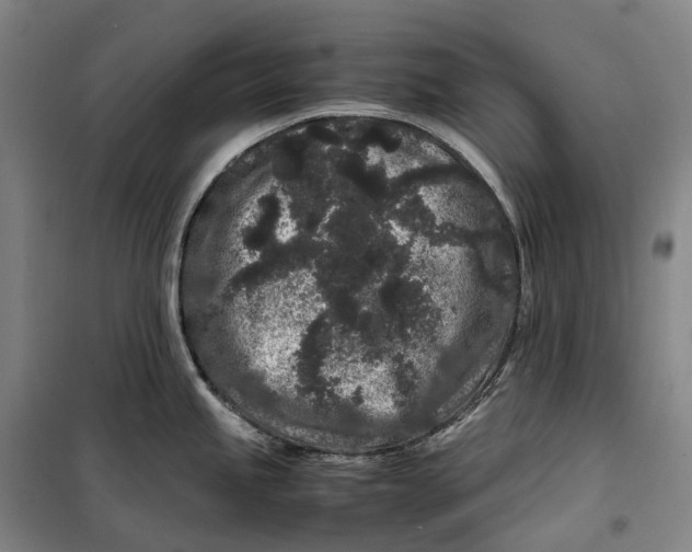 X0000099471245200805301549