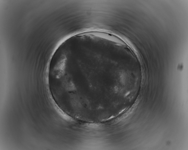 X0000099471246200805301549