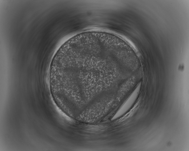 X0000099471247200805301549