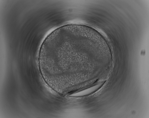 X0000099471248200805301549