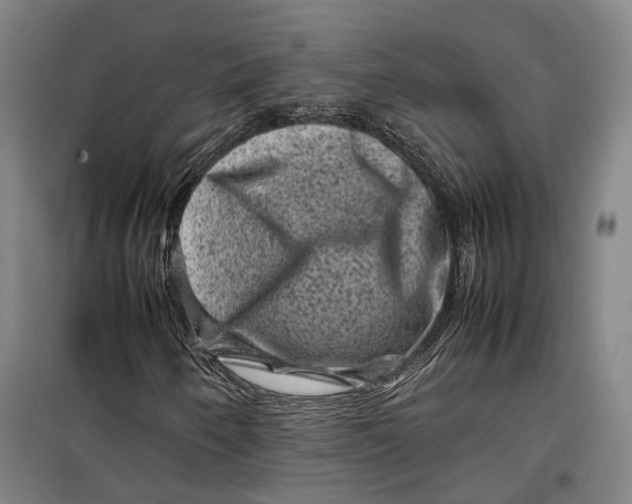 X0000099471250200805301548