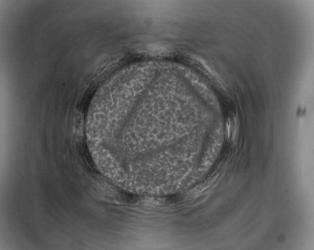 X0000099471251200805301548