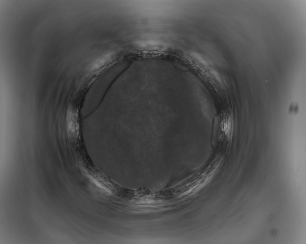 X0000099471252200805301548