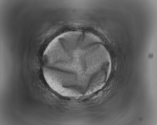 X0000099471253200805301548