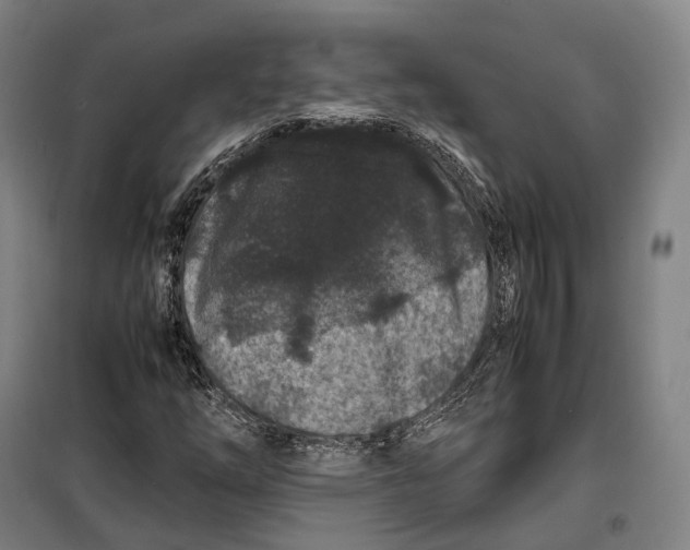 X0000099471254200805301548