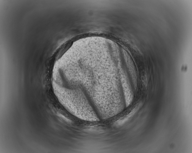 X0000099471256200805301548