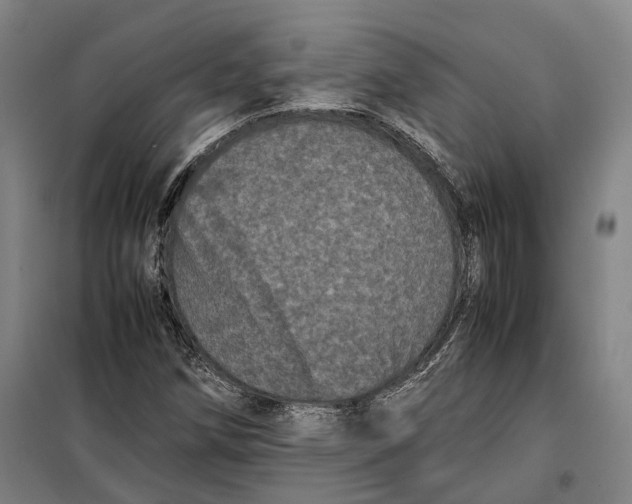 X0000099471258200805301548