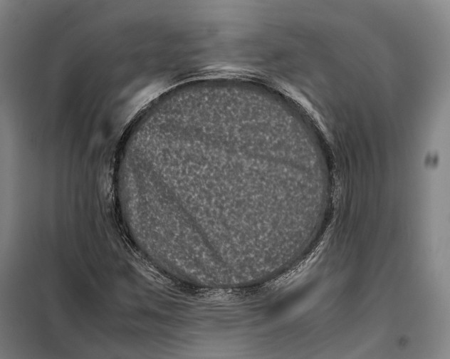 X0000099471259200805301548