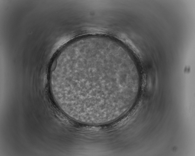 X0000099471261200805301548