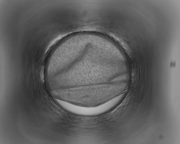 X0000099471262200805301548