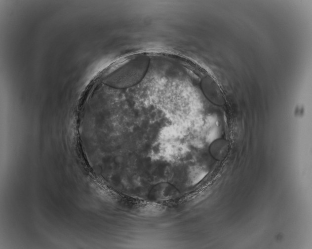 X0000099471263200805301548