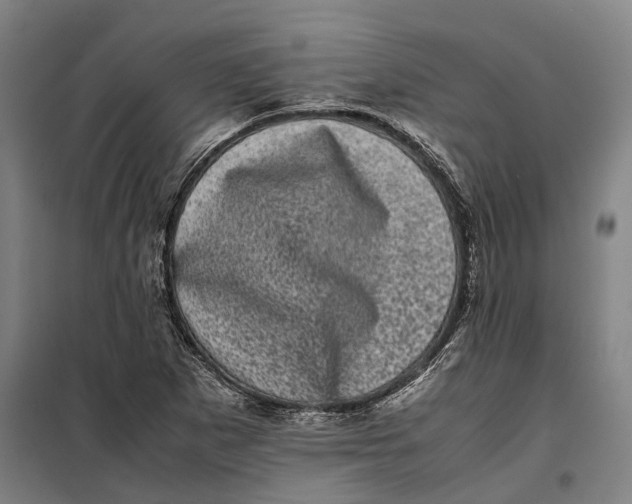 X0000099471265200805301548