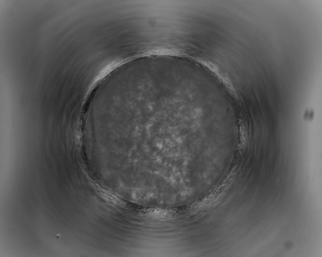 X0000099471266200805301548