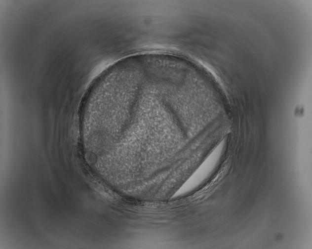 X0000099471267200805301548